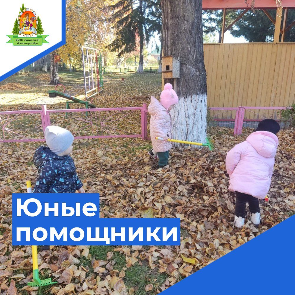 1 2e1a697e-66de-4af3-bd31-b22505ddb097 .jpg